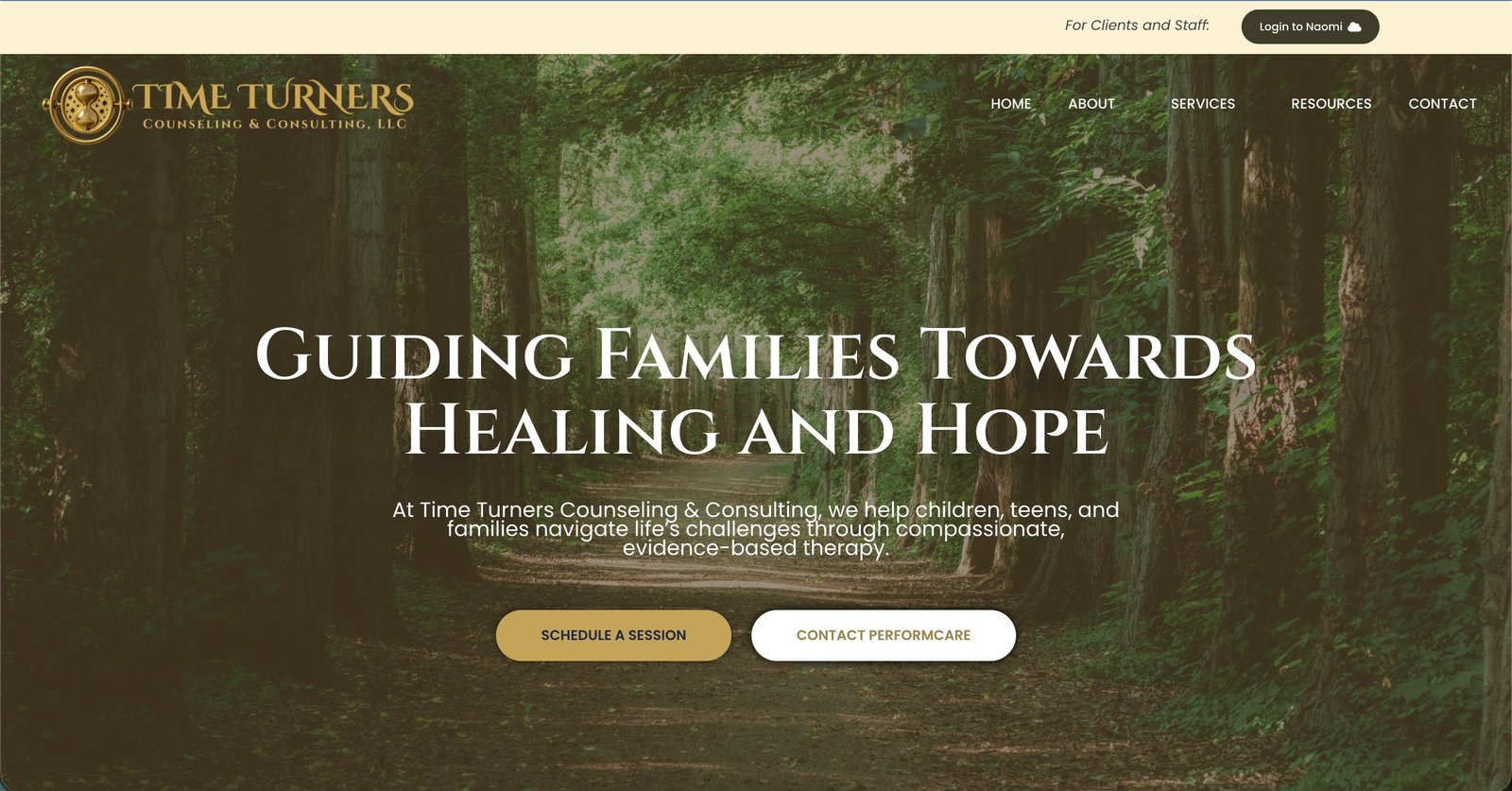 Time Turners Consulting